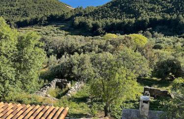 La scuola di Anna - Foto 2