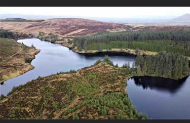 Woodland lodge, apartment - Foto 39