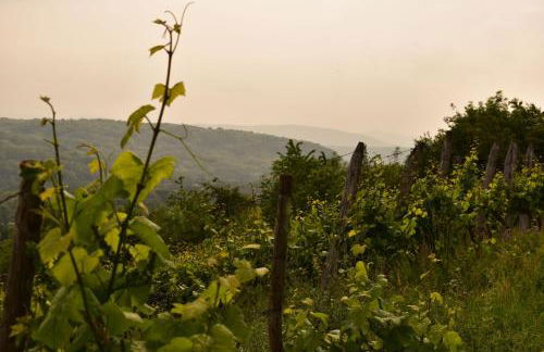 Gîte de Cep et de Grès - Foto 23