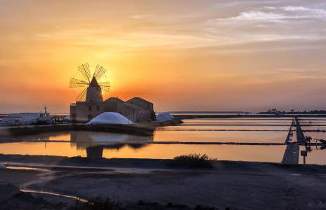 Perla delle Egadi - Foto 31