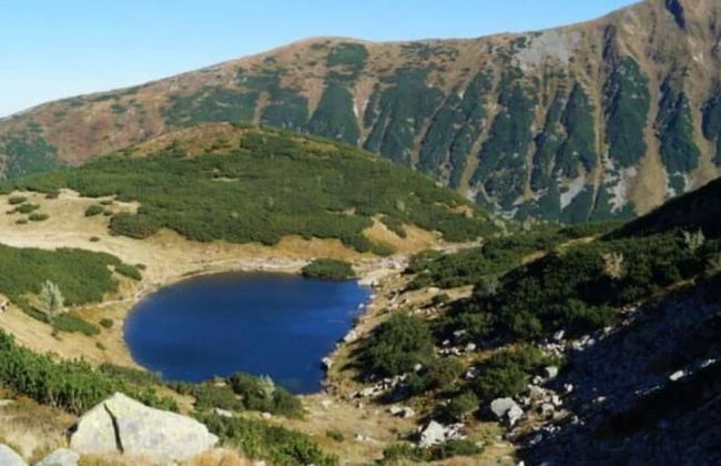 Hotel Crocus - Foto 56