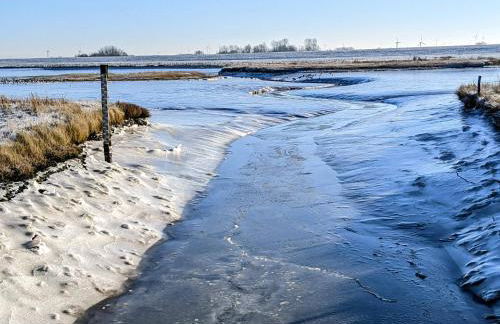 Drei-Insel-Blick Neßmersiel - Foto 50
