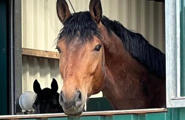 Hof Eichendiek Time Out Village - Foto 8