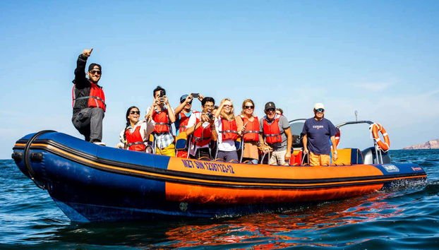 Bay of Mazatlán Speedboat Tour + Whale Museum Tickets - Foto 5