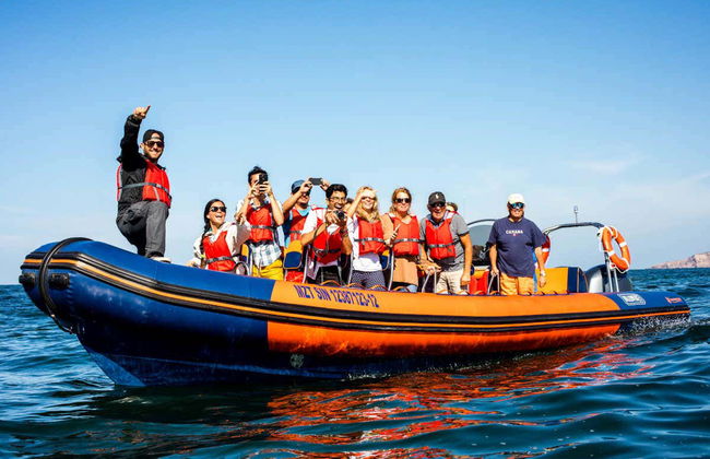 Bay of Mazatlán Speedboat Tour + Whale Museum Tickets - Foto 5