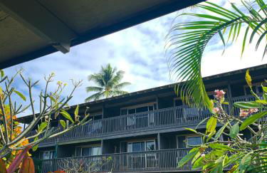 Napili Village Hotel - Photo 76