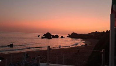 Alba Chiara Licata - Foto 4