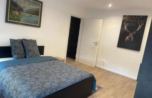 Superbe Appartement au RDC avec cheminée - Foto 7