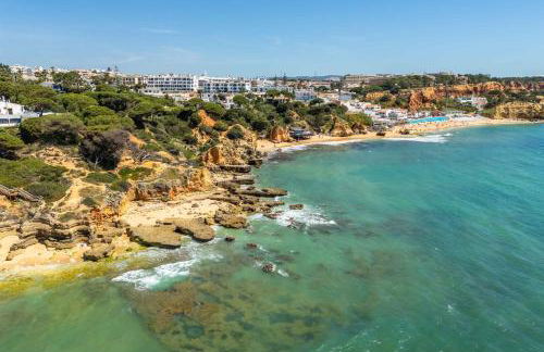 T2 Eucalipto 2A by Algarneto - Foto 29