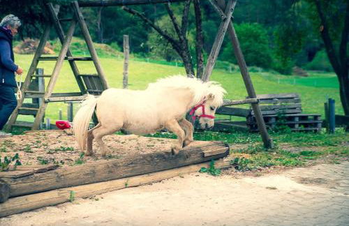 Ennerla Hof - Foto 23