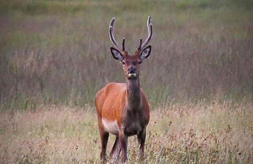 An Outdoor Enthusiasts Piece of Heaven - Photo 43