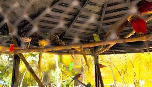 ASA | Quinta da Esmeralda | Pub | Piscina | Chalés - Foto 5