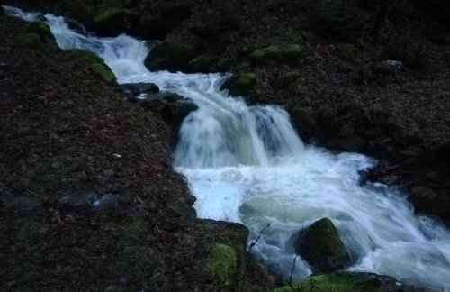 Xenonas Kypseli - Foto 55