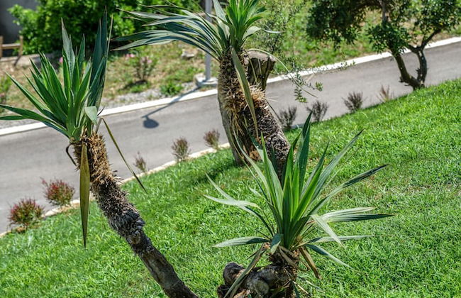 Apartments Bazar - Foto 63