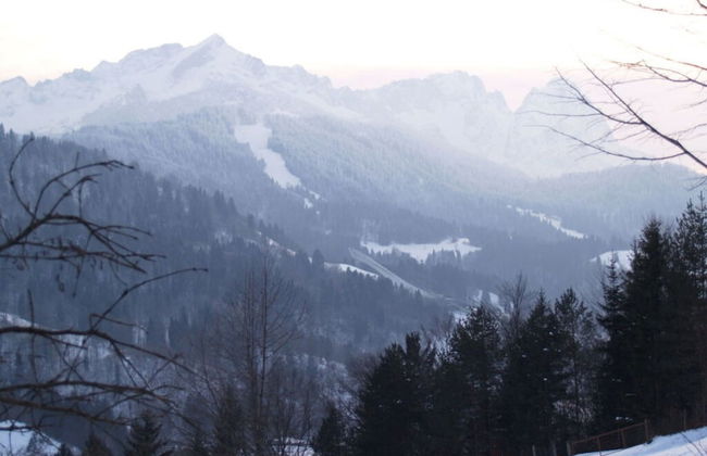 Geroldsee Comfortable Holiday Residence - Foto 8