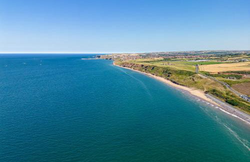 Rambling Rose - Foto 26