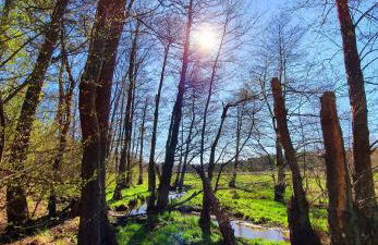 Holiday home in Coswig 3105 - Foto 9