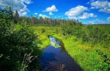 Barton City Lodge - Foto 30