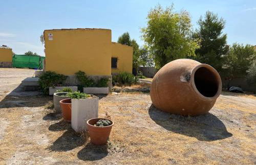 Finca los Nardos de Miraltajo - Foto 10