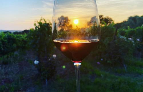 Tenuta Le Mandorlaie, Agriturismo in Scansano - Foto 31