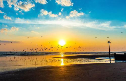 Trem Y Mor - Edge of the Sea - Foto 37