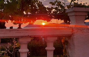 Family apartments Dominković - Photo 25