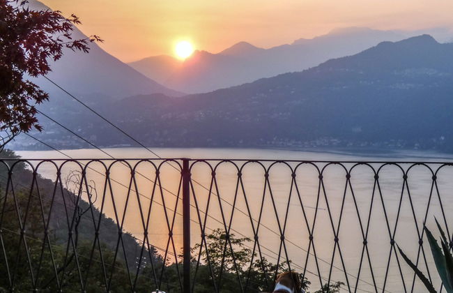 Nina Belvedere - Foto 15