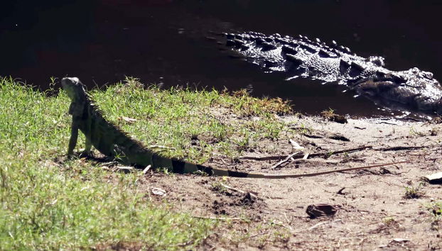 Ventanilla and Mazunte Day trip - Foto 4