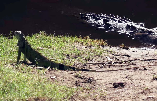 Excursão a Ventanilla e Mazunte - Foto 2