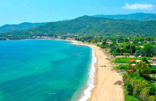 Aristotelia Gi - Panorama - Photo 23