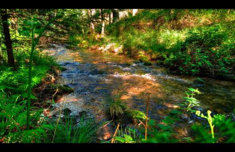 La casa di Alba-Salomé - Foto 48