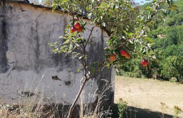Casa do Rebelhe - Foto 44
