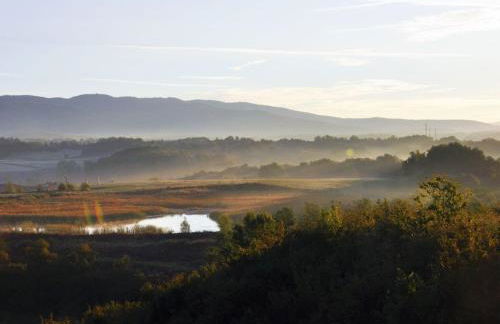 Apartment Flache Kornblume by Interhome - Foto 30