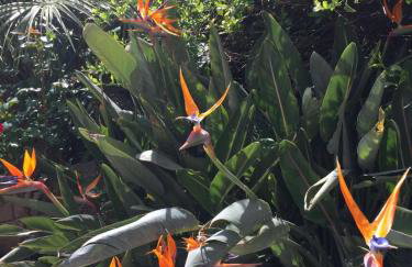 Villa Keti apartments Pool & Wellness - Photo 133