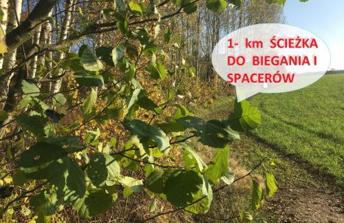 Na zielonej łące... - Foto 24