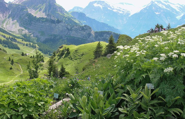 Chalet Miravalle - Foto 55