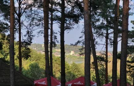 Willa Wellness - Foto 10