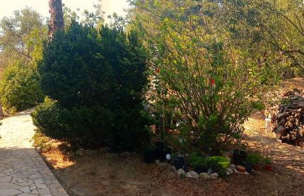 Tritsili house - Photo 50