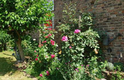 Ferienwohnung Palmengarten Bad Honnef - Foto 42