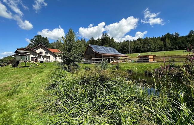 Apartment in Rotz With Forest Views - Foto 26