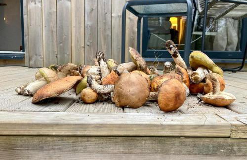 Przystanek Naglady Warmia- całoroczny, duża leśna działka - Foto 11