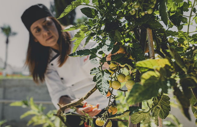 Latchi Escape Hotel & Suites - Foto 37