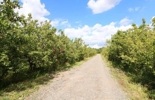 The Apple Shed - Foto 26