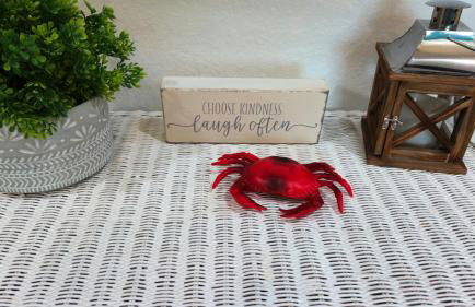 Private Lazy River Pool, 4-bed house, & dock - Foto 34