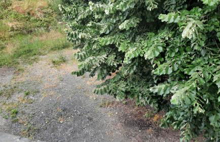 Résidence le moulin brûlé - Foto 7