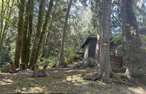 Secluded Off-Grid Retreat> Cabins+Hiking+Waterfall - Foto 19