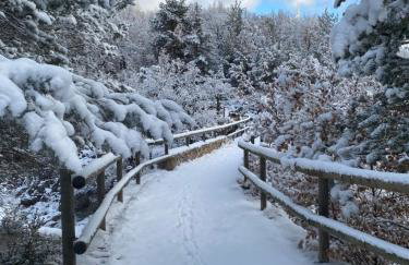 Cal Carol - Photo 21