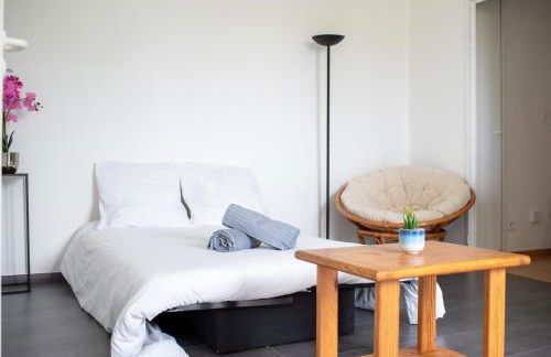 T2 Rangueil - Terrasse + 2 Parkings - 4 personnes - Foto 2