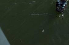 True Happiness, Housing Near Disney Word - Foto 72