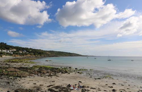 Gannet Watch - Foto 30